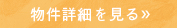詳細を見る